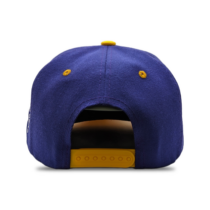 PURPLE / GOLD RUBBERBAND HEAD SNAPBACK -LOW IN STOCK-