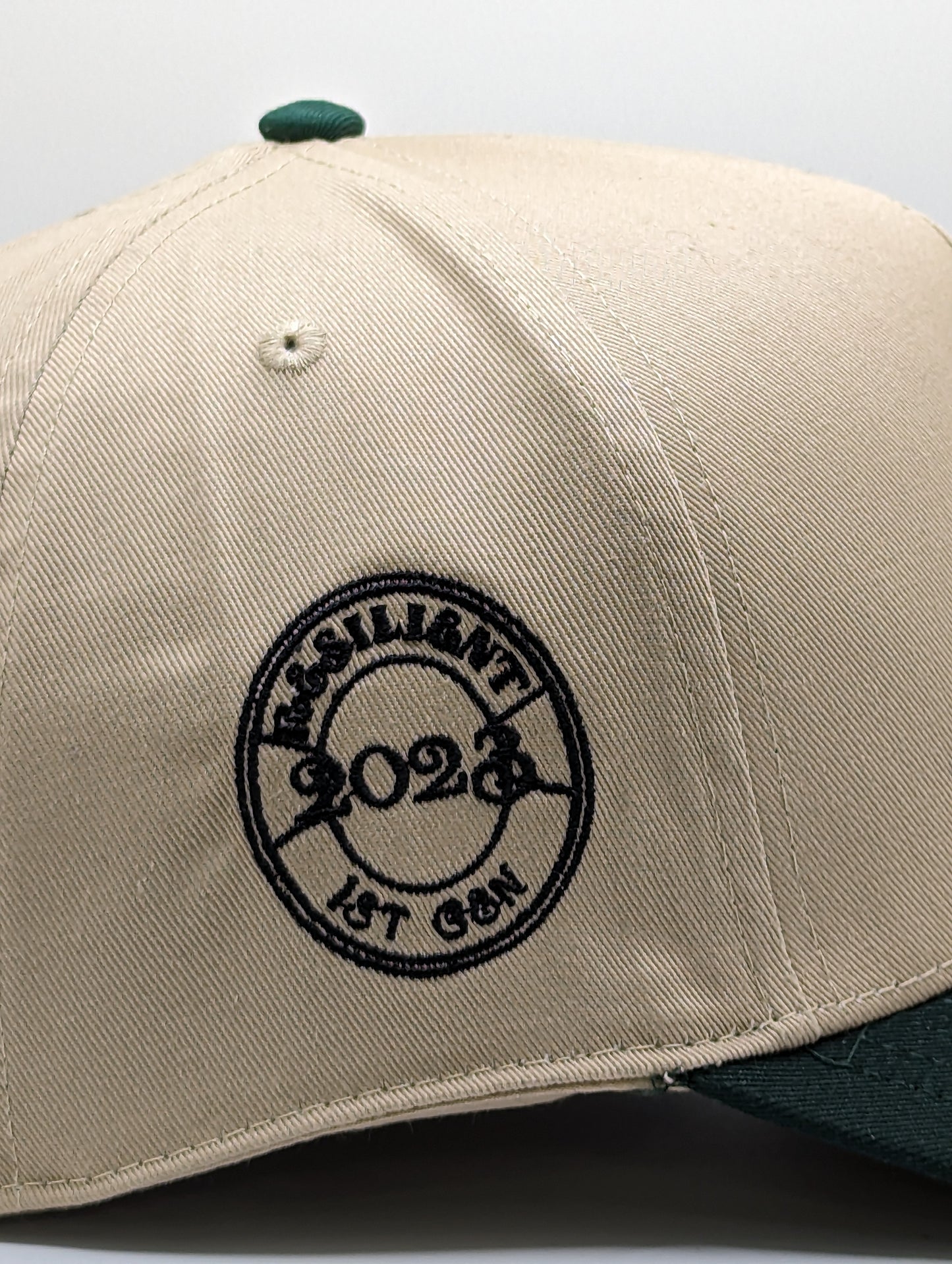 SNAPBACK TAN/VERDE RESILIENTE 23