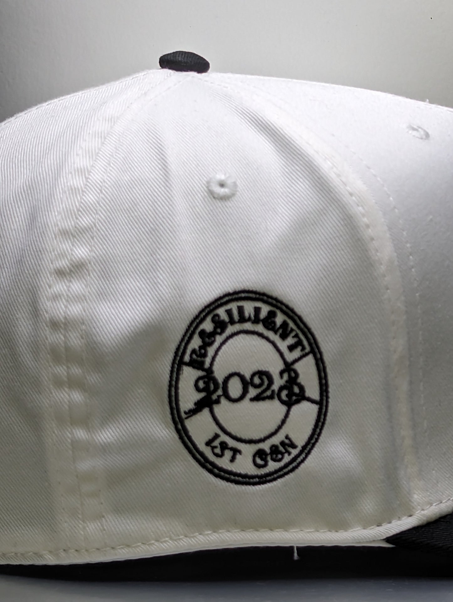 WHITE / BLACK RESILIENT 23 SNAPBACK